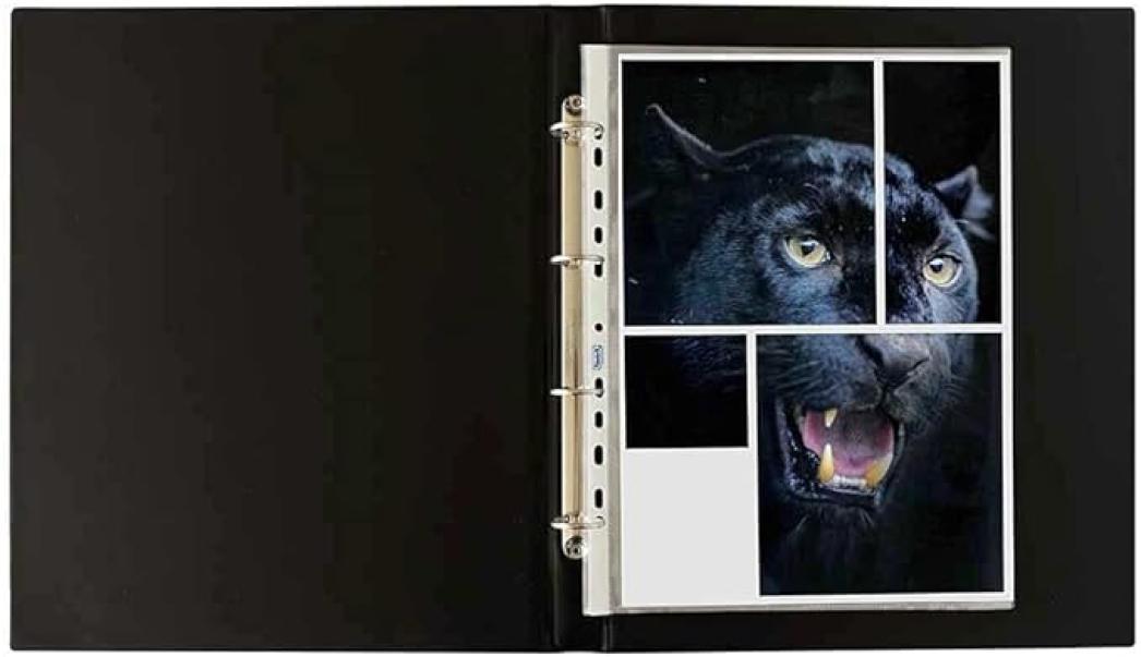 Buste a foratura Favorit finitura liscia formato 23x33 confezione da 25