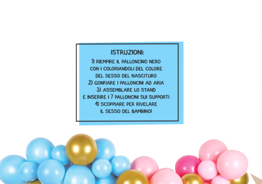 Set Party Boy or Girl u2013 47 Pezzi | 2 Tende a Frange 1x2m, 45 Palloncini, Coriandoli Rosa e Celesti, Palloncini u201cBoy or Girl?u201d, Accessori Decorativi per Gender Reveal e Baby Shower
