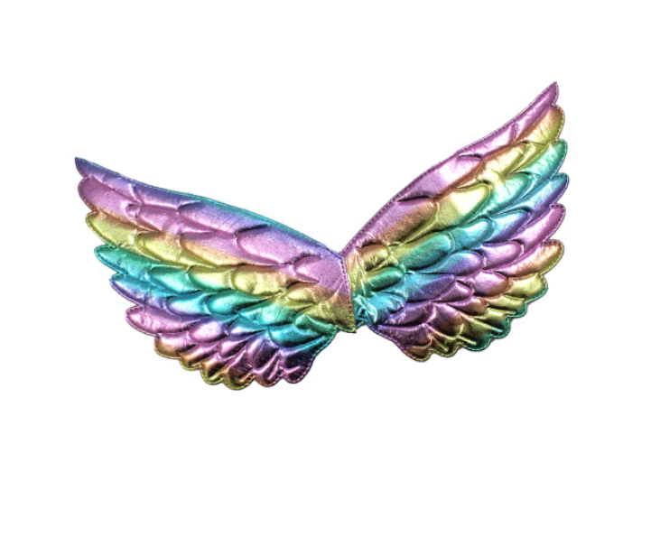 Set party little princess multicolore 3pz (tutu00f9, ali, cerchietto corona)