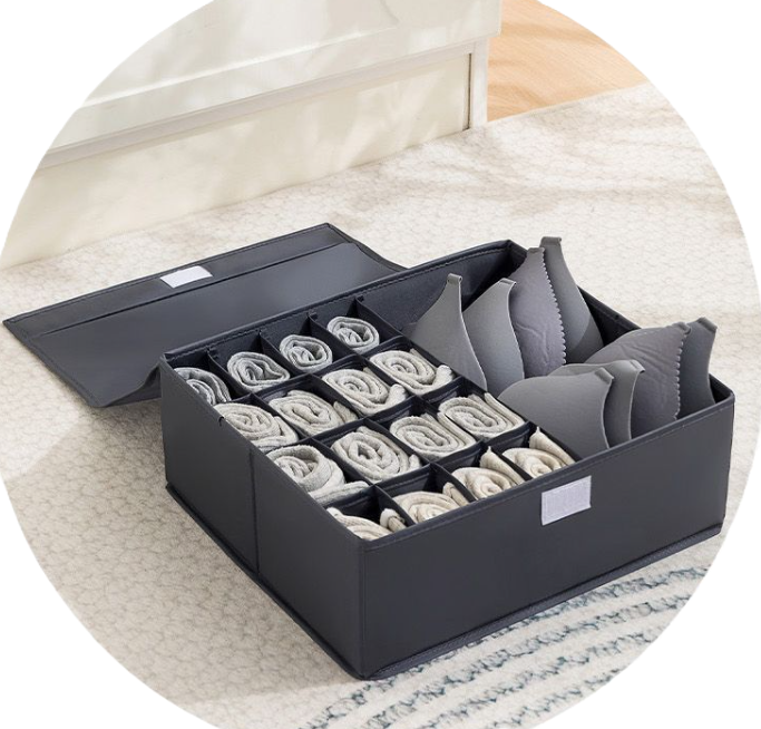 Organizer Box portatutto 16+1 divisori Bathrex 