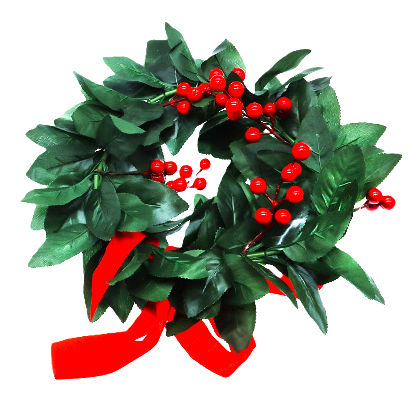 Corona Laurea + Fascia Laurea Dottore rossa