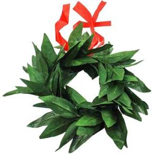 Corona laurea  31cm