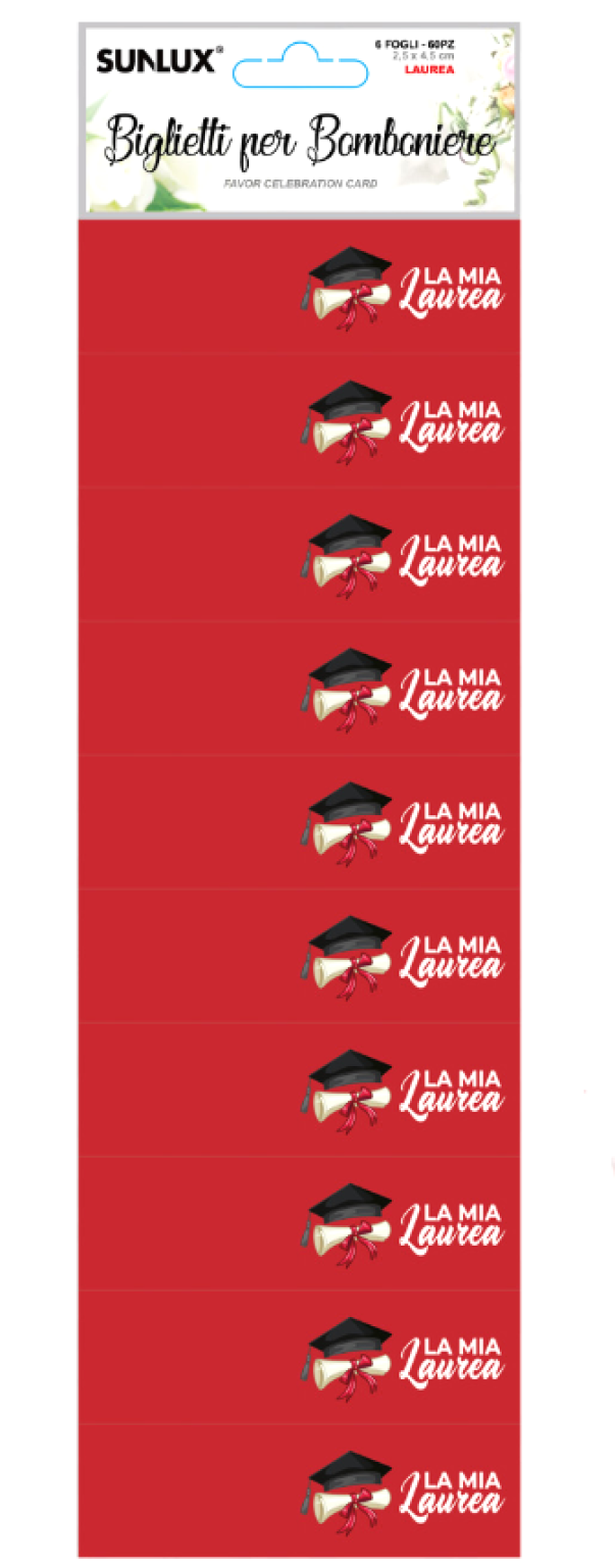 Biglietti bomboniere Laurea 6 fogli 60 biglietti