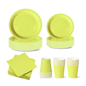 Set stoviglie carta monouso verde anice 112 pezzi, festa di compleanno, kit per 24 ospiti