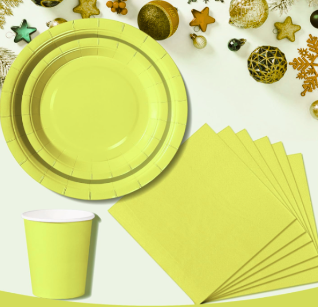 Set Stoviglie Carta Monouso Verde Anice 112 pezzi