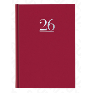 ﻿agenda 2026 giornaliera – 320 pagine, formato 14,5x20,5 cm, design elegante con stampa argento a caldo