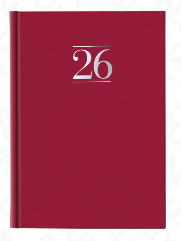 Agenda 2026 Giornaliera u2013 320 Pagine, Formato 14,5x20,5 cm, Design Elegante con Stampa Argento a Caldo