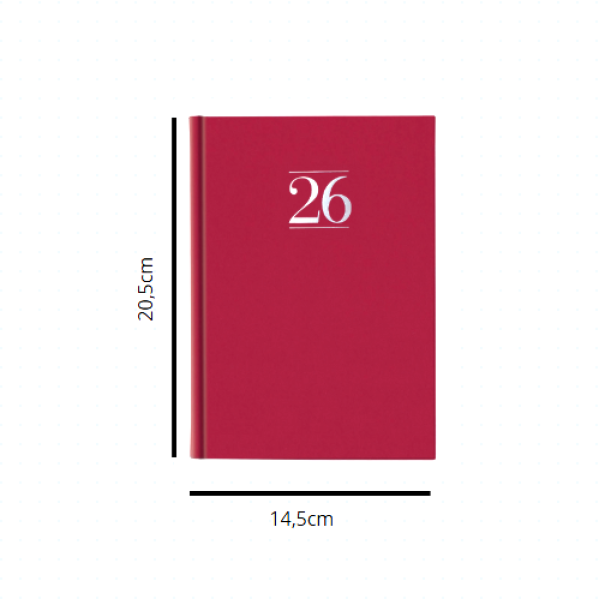 Agenda 2026 Giornaliera u2013 320 Pagine, Formato 14,5x20,5 cm, Design Elegante con Stampa Argento a Caldo