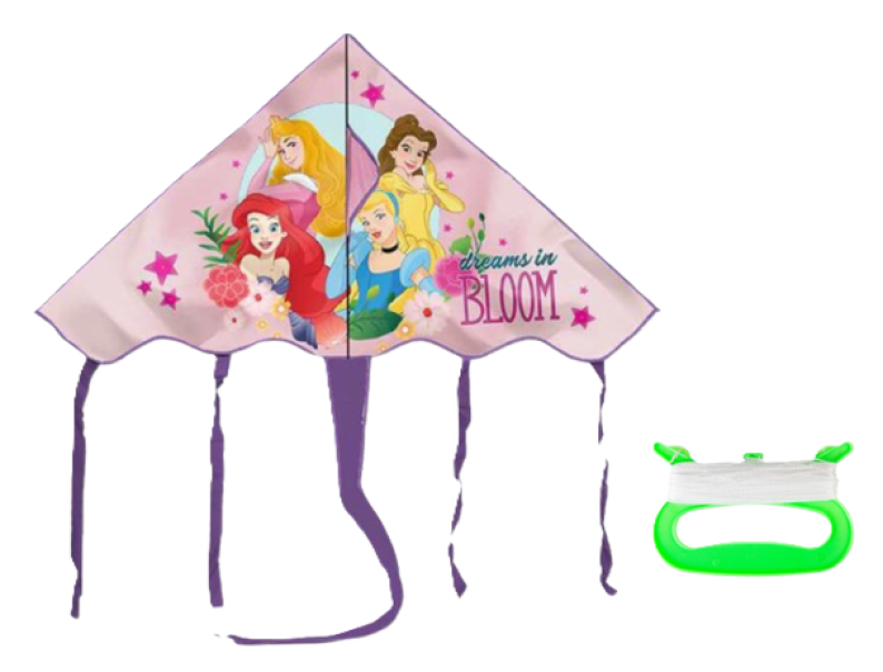 Aquilone Princess per Bambini