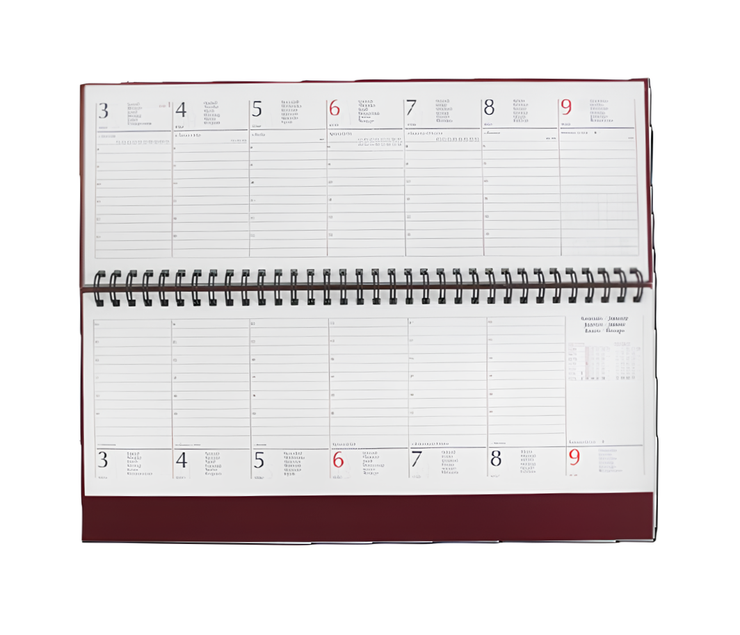 Agenda 2026 Settimanale u2013 128 Pagine, Formato 29,8x10,5 cm, Con Spirali, Design Elegante con Stampa Argento a Caldo