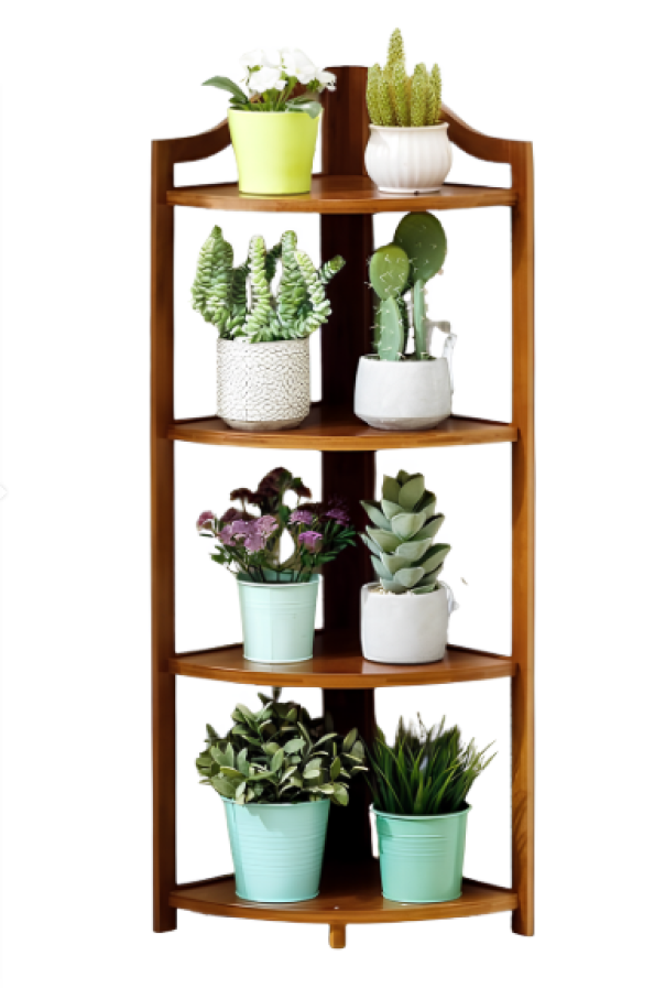 Angoliera in Bambu00f9