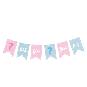 Festone gender reveal in carta, decorazioni boy or girl, dimensione 20x16cm