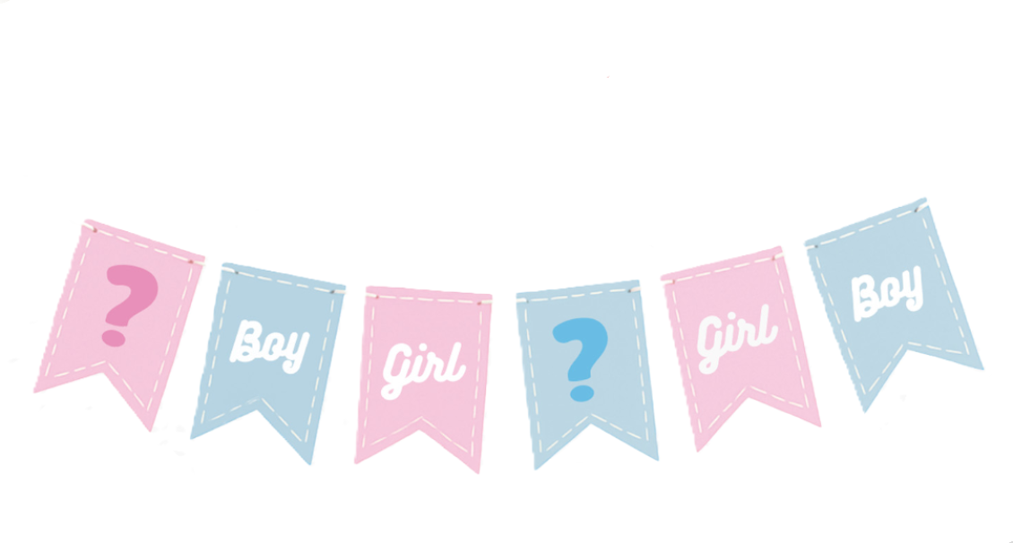 festone-gender-reveal-boy-or-girl-01 Festone Gender Reveal Boy or Girl